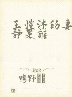 王恺沐的妻子陈静是谁