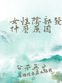 女性阴部发红痒什么原因