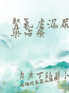 肾气虚漏尿的中药治疗