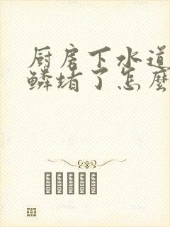 厨房下水道被鱼鳞堵了怎么办