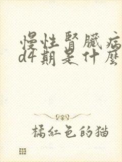 慢性肾脏病ckd4期是什么意思