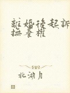 离婚后起诉争夺抚养权