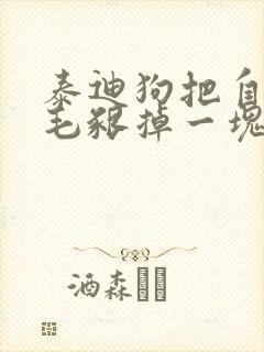 泰迪狗把自己的毛啃掉一块