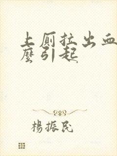 上厕拉出血由什么引起