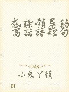 感谢领导的高情商话语短句