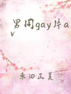 男同gay片av