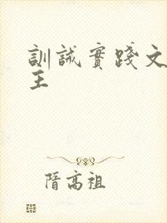 训诫实践文双男主