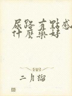 尿路有点感染吃什么药好