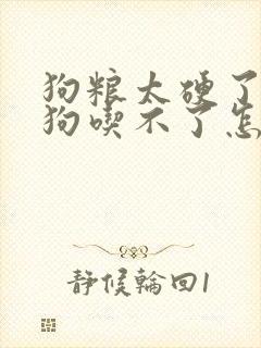 狗粮太硬了,小狗吃不了怎么办