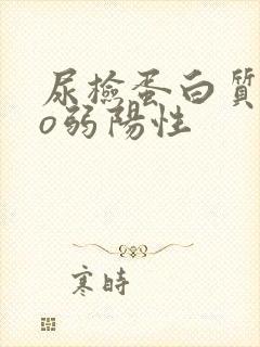 尿检蛋白质pro弱阳性