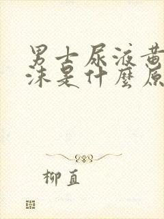 男士尿液黄有泡沫是什么原因