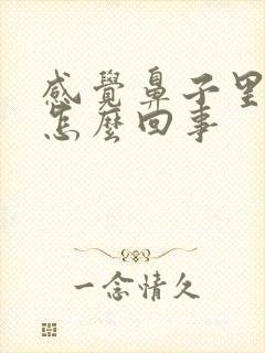 感觉鼻子里很臭怎么回事