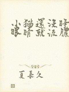 小猫还没睁眼,眼睛就流脓了怎么办