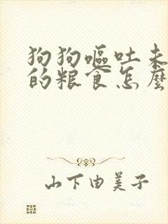 狗狗呕吐未消化的粮食怎么办