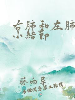 右肺和左肺多发小结节