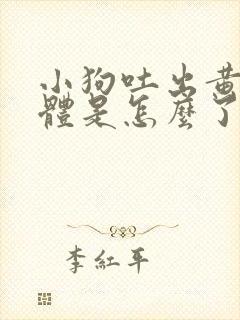 小狗吐出黄色液体是怎么了