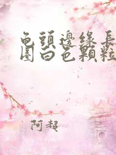 龟头边缘长了一圈白色颗粒还很痒