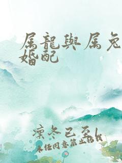 属龙与属兔能否婚配