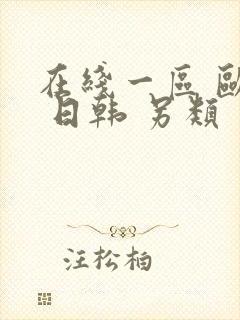 在线一区 欧美 日韩 另类 丝袜