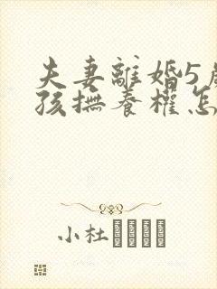 夫妻离婚5岁小孩抚养权怎么判