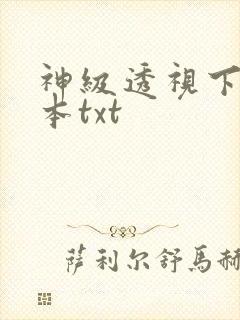 神级透视下载全本txt