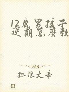 12岁男孩子叛逆期怎么教育