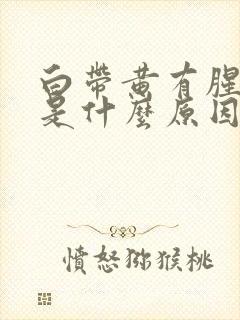 白带黄有腥臭味是什么原因造成的