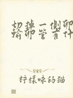 切掉一侧卵巢和输卵管有什么影响