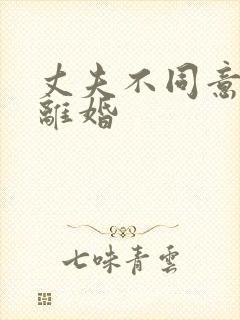 丈夫不同意怎么离婚