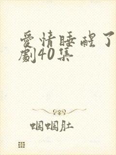 爱情睡醒了电视剧40集