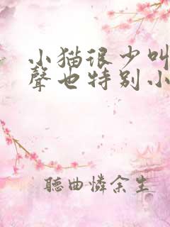 小猫很少叫 叫声也特别小