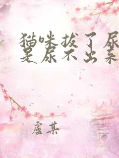 猫咪拔了尿管还是尿不出来怎么办