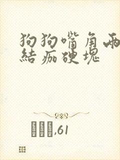 狗狗嘴角两边有结痂硬块