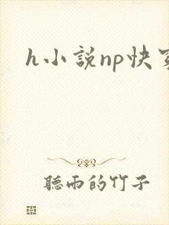 h小说np快穿
