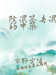 除湿茶去湿气重的中药