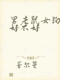 男老鼠女狗婚姻好不好