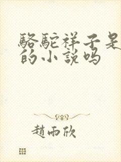 骆驼祥子是老舍的小说吗