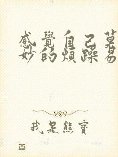 感觉自己莫名其妙的烦躁易怒情绪不稳定