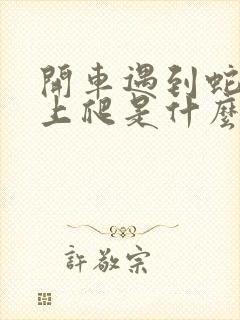 开车遇到蛇往路上爬是什么征兆