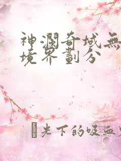 神澜奇域无双珠境界划分