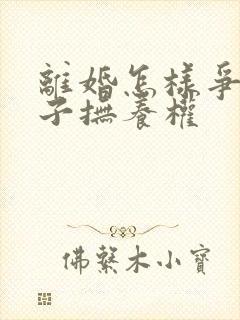 离婚怎样争夺孩子抚养权