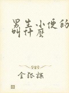 男生小便的地方叫什么