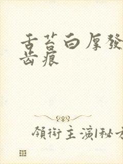 舌苔白厚发黄有齿痕