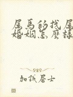 属马的找属马的婚姻怎么样