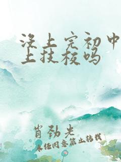 没上完初中可以上技校吗