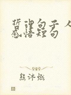 哲理句子 人生感悟短句