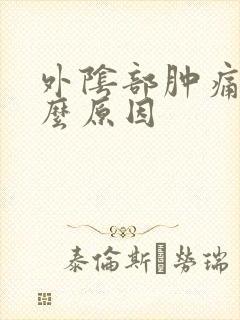 外阴部肿痛是什么原因