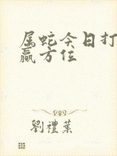 属蛇今日打牌必赢方位