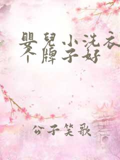 婴儿小洗衣机哪个牌子好