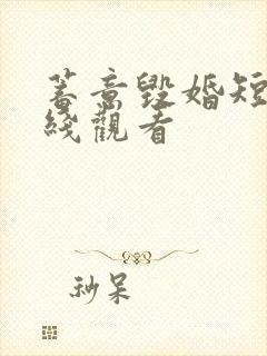 蓄意毁婚短剧在线观看